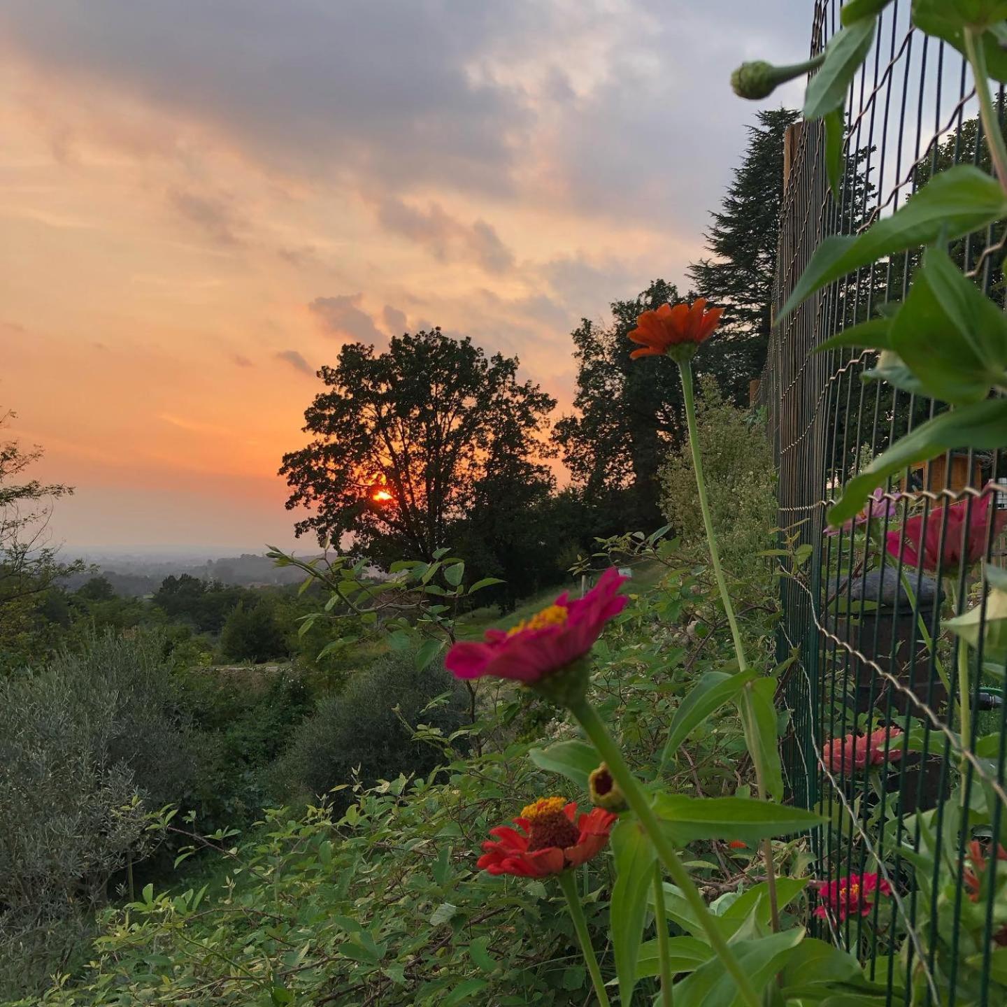 La Casita Eco Country House Bed and Breakfast Faedis Εξωτερικό φωτογραφία